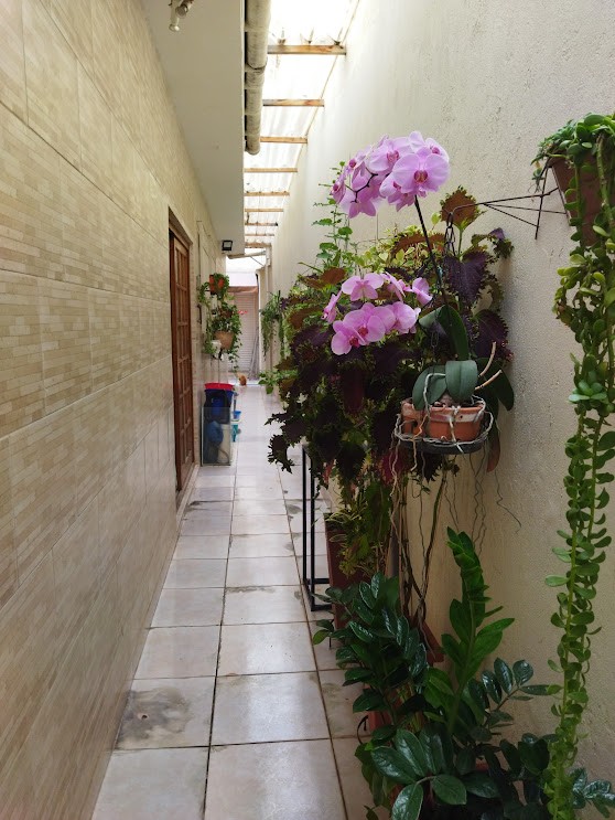 Casa, 3 quartos - Foto 16